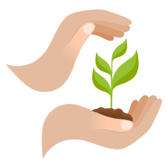 Sustainable daily habits