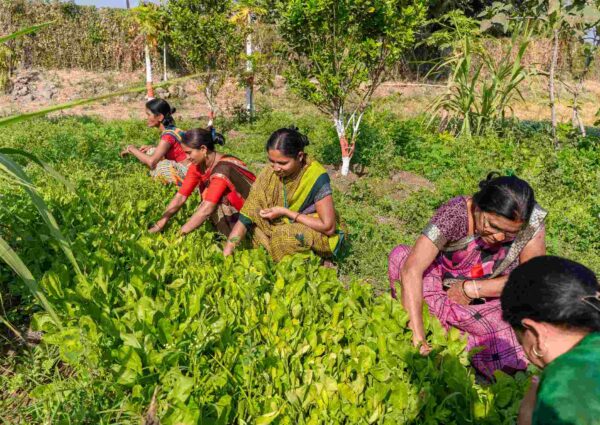 National Pollution Control Day